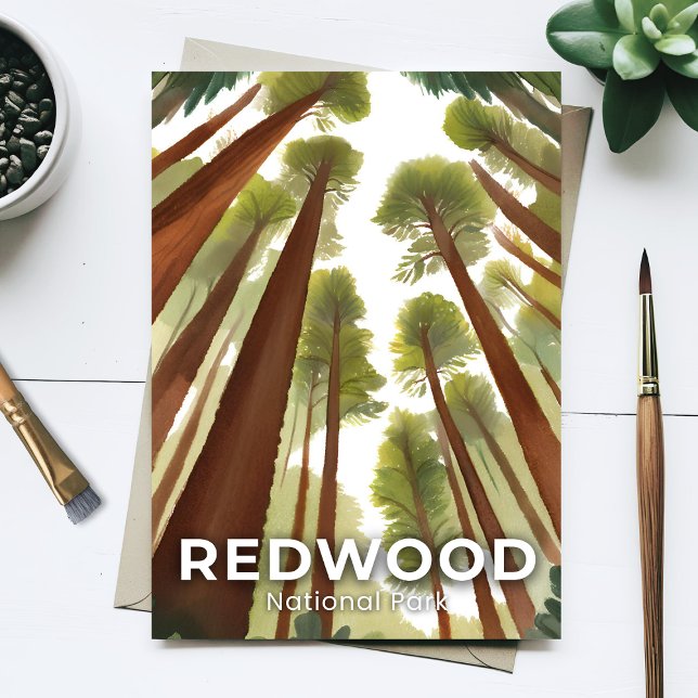 Redwood National Park | Watercolor Tall Forest Postcard (Creator Uploaded)