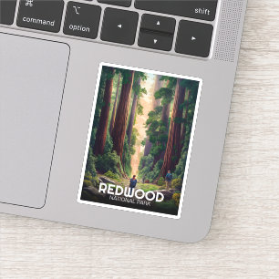 Redwood national state park, Coastal California 