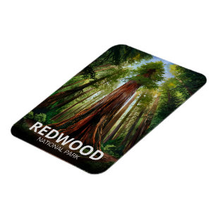 Redwood national state park, Coastal California  Magnet