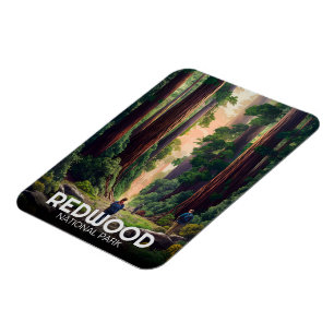Redwood national state park, Coastal California Magnet