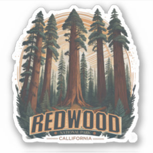 Redwood natioonal state park, Coastal California