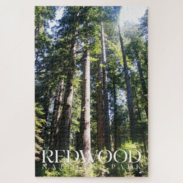 Redwood Puzzle, National Park Jigsaw Puzzle (Vertical)