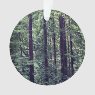 Redwood Trees #2 Ornament
