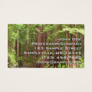 Redwood Trees at Muir Woods National Monument