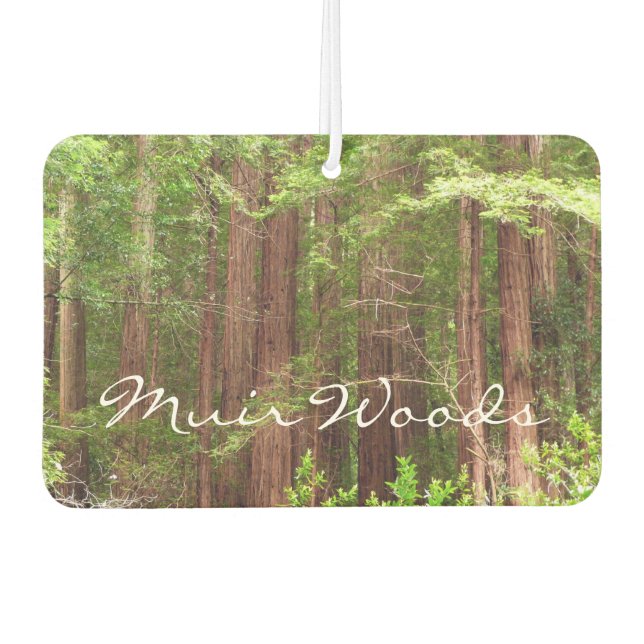 Redwood Trees at Muir Woods National Monument Air Freshener (Front)