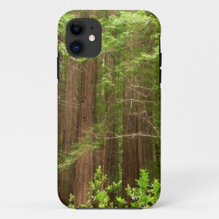 Redwood Trees at Muir Woods National Monument iPhone 11 Case
