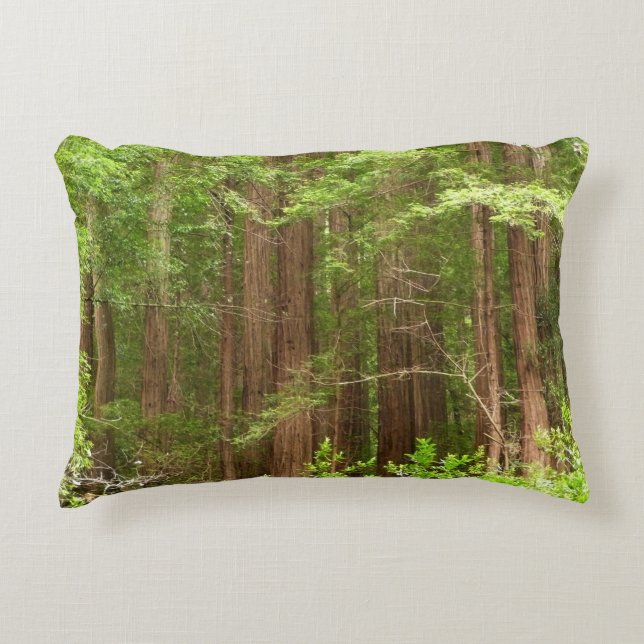 Redwood Trees at Muir Woods National Monument Decorative Pillow (Front)