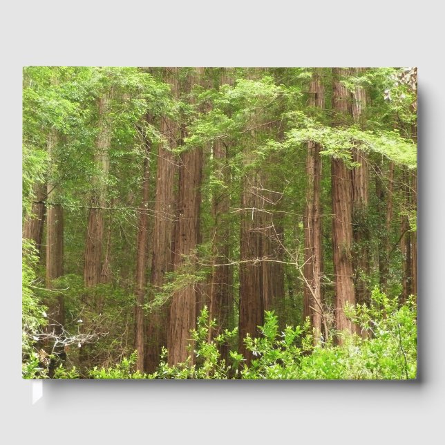 Redwood Trees at Muir Woods National Monument Guest Book (Front)