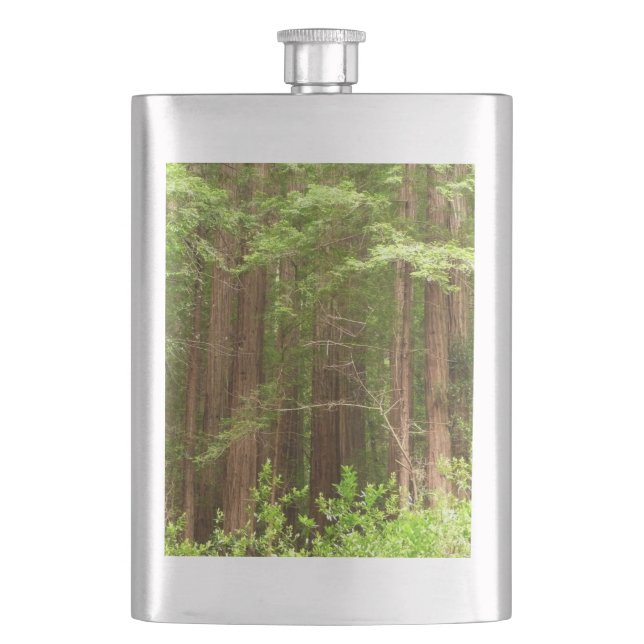 Redwood Trees at Muir Woods National Monument Hip Flask (Front)