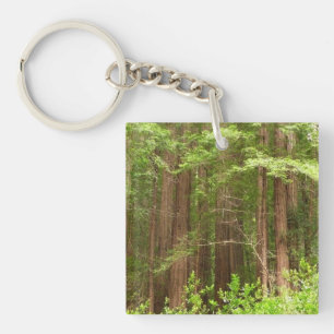 Redwood Trees at Muir Woods National Monument Keychain