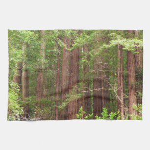 Redwood Trees at Muir Woods National Monument Kitchen Towel