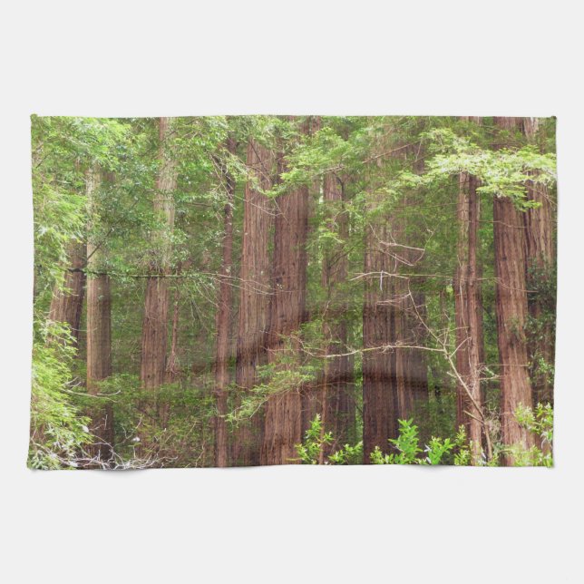 Redwood Trees at Muir Woods National Monument Kitchen Towel (Horizontal)