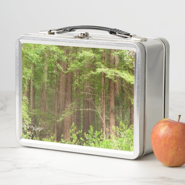 Redwood Trees at Muir Woods National Monument Metal Lunch Box (In Situ)