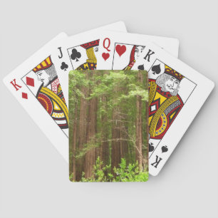 Redwood Trees at Muir Woods National Monument Playing Cards