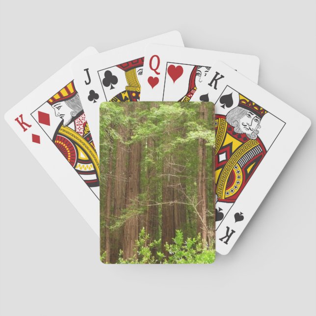 Redwood Trees at Muir Woods National Monument Playing Cards (Back)