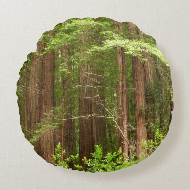Redwood Trees at Muir Woods National Monument Round Pillow (Front)