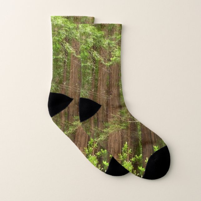 Redwood Trees at Muir Woods National Monument Socks (Pair)