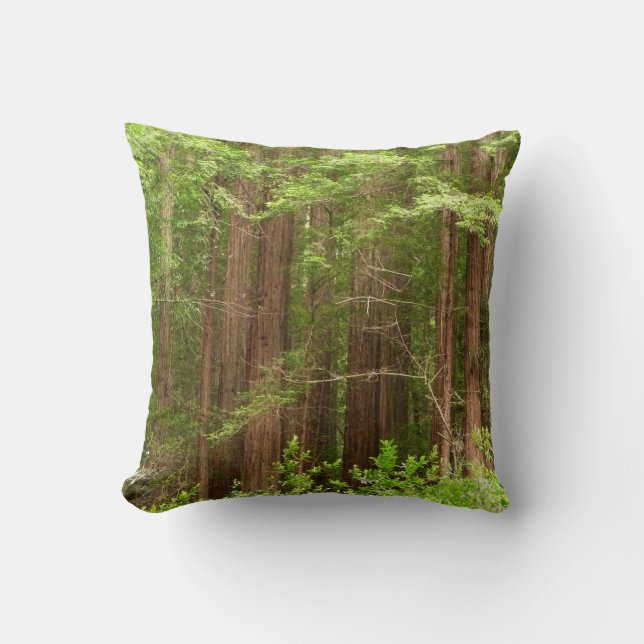 Redwood Trees at Muir Woods National Monument Throw Pillow (Front)