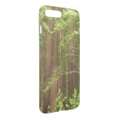 Redwood Trees at Muir Woods National Monument Uncommon iPhone Case (Back/Right)