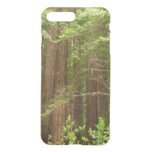 Redwood Trees at Muir Woods National Monument iPhone 8 Plus/7 Plus Case