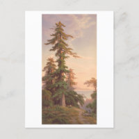 Redwood Trees California Vintage Prang Lithograph