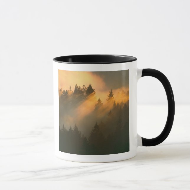 Redwood trees in coastal fog, Marin County, Mug (Right)