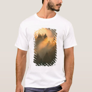 Redwood trees in coastal fog, Marin County, T-Shirt