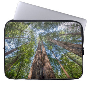 Redwood Trees Marin County, California Laptop Sleeve
