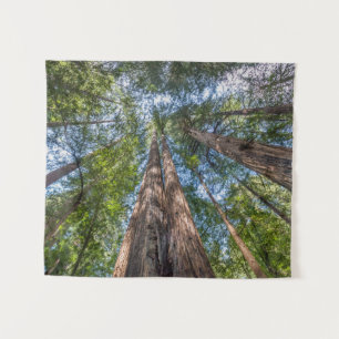 Redwood Trees Marin County, California Tapestry