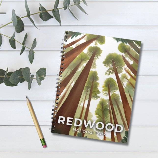 Redwood Trees | National Park Watercolor Travel Notebook (Creator Uploaded)
