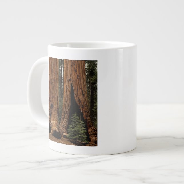 Redwood Trees, Sequoia National Park. Large Coffee Mug (Front Left)
