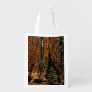 Redwood Trees, Sequoia National Park. Reusable Grocery Bag
