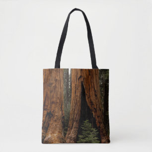 Redwood Trees, Sequoia National Park Tote Bag