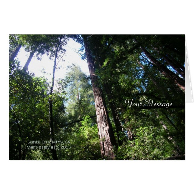 Redwoods (Devant horizontal)