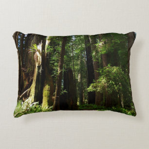 Redwoods and Ferns at Redwood National Park Accent Pillow