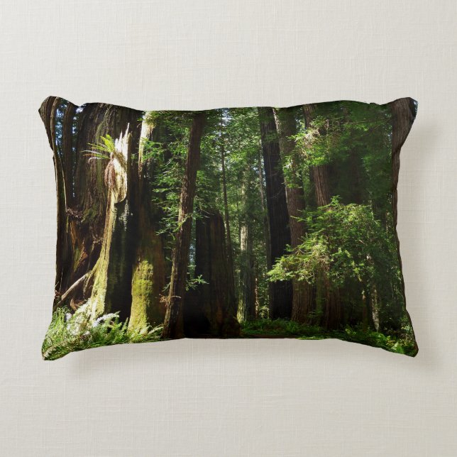 Redwoods and Ferns at Redwood National Park Accent Pillow (Front)