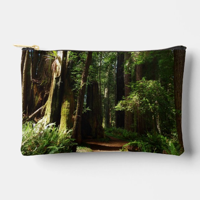 Redwoods and Ferns at Redwood National Park Accessory Pouch (Front)