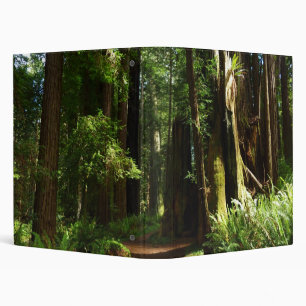 Redwoods and Ferns at Redwood National Park Binder
