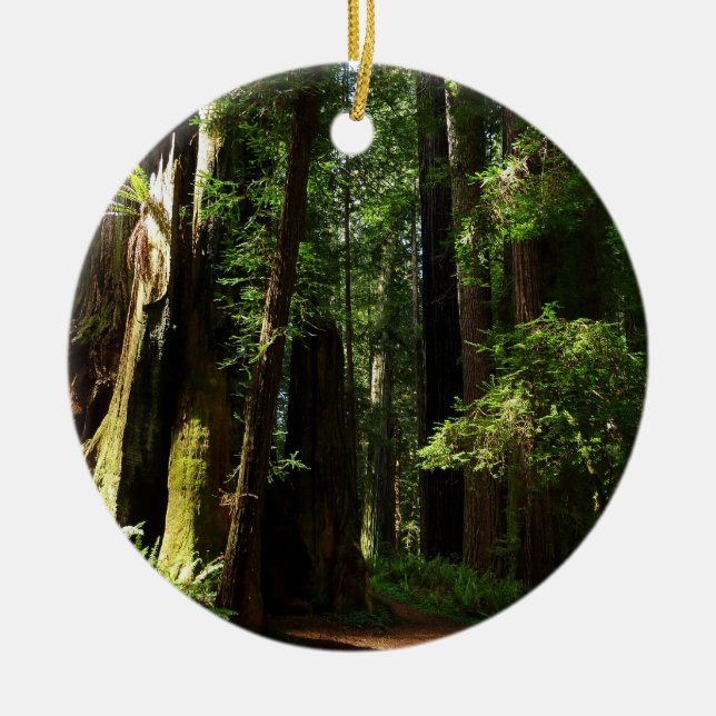 Redwoods and Ferns at Redwood National Park Ceramic Ornament (Front)