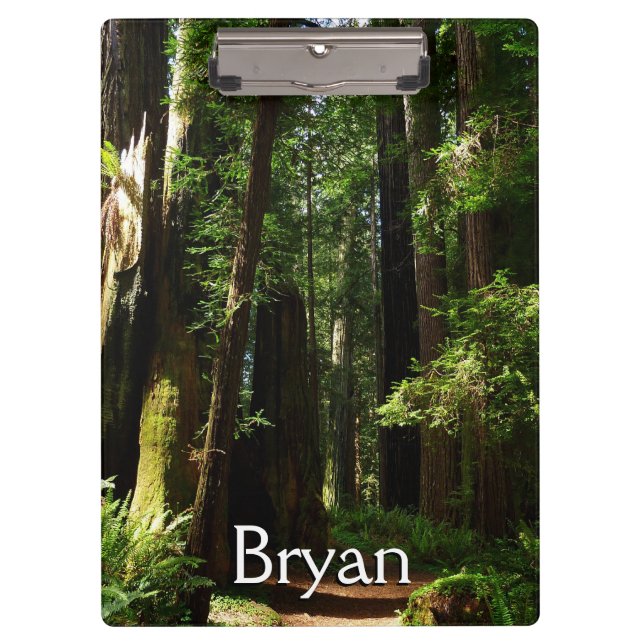 Redwoods and Ferns at Redwood National Park Clipboard (Front)