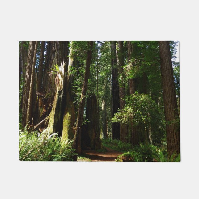 Redwoods and Ferns at Redwood National Park Doormat (Front)
