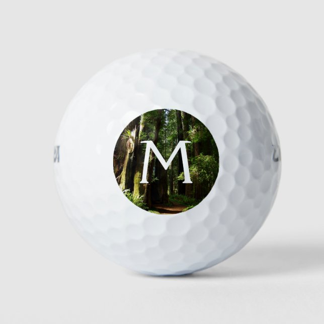Redwoods and Ferns at Redwood National Park Golf Balls (Front)