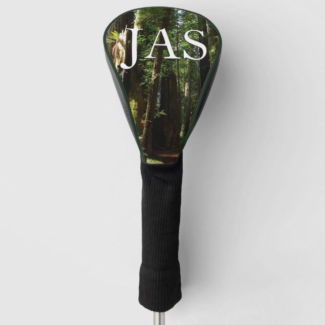Redwoods and Ferns at Redwood National Park Golf Head Cover (Front)