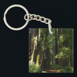 Redwoods and Ferns at Redwood National Park Keychain<br><div class="desc">The trails at Redwood National Park are typically quite peaceful and serene like the one in this picture. When you walk in Redwood National Park, you are of course surrounded by redwood trees, but also contrasting patches of bright green ferns. This product features the popular wallpaper "Redwoods and Ferns" from...</div>