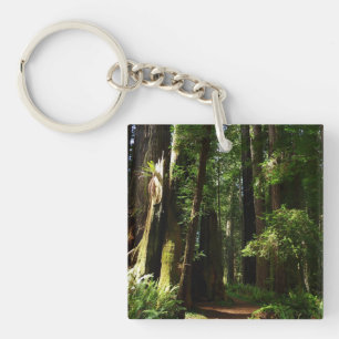 Redwoods and Ferns at Redwood National Park Keychain