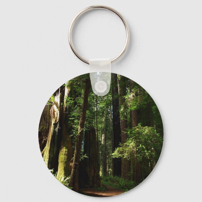 Redwoods and Ferns at Redwood National Park Keychain (Front)