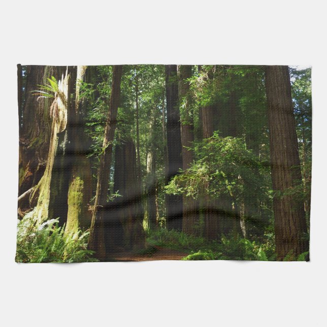Redwoods and Ferns at Redwood National Park Kitchen Towel (Horizontal)