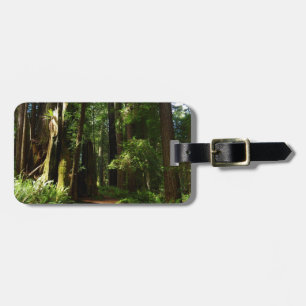 Redwoods and Ferns at Redwood National Park Luggage Tag