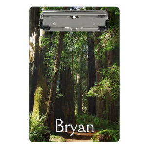 Redwoods and Ferns at Redwood National Park Mini Clipboard
