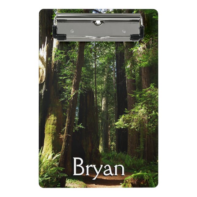 Redwoods and Ferns at Redwood National Park Mini Clipboard (Front)